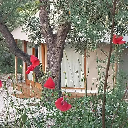 Hmo Glamping & In Vignanotica