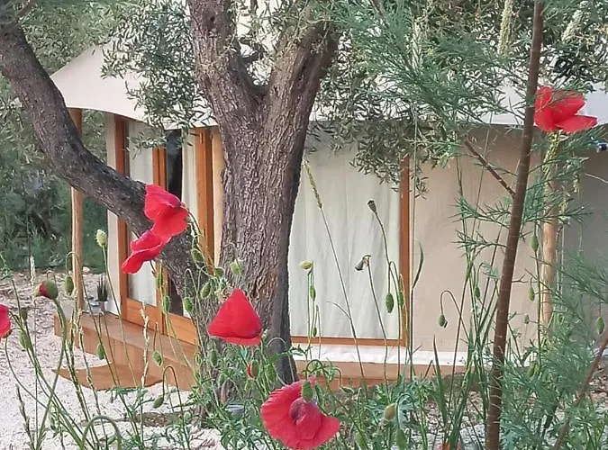 Hmo Glamping & In Vignanotica