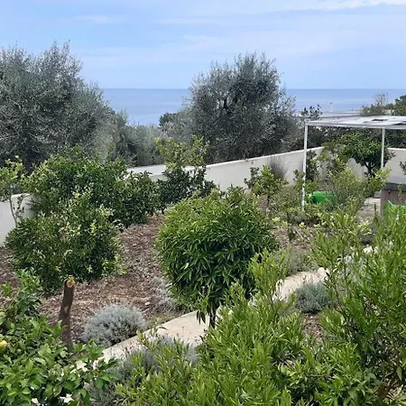 Hmo Glamping & In Vignanotica