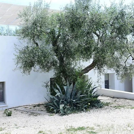 Hmo Glamping & In Vignanotica Resort Mattinata