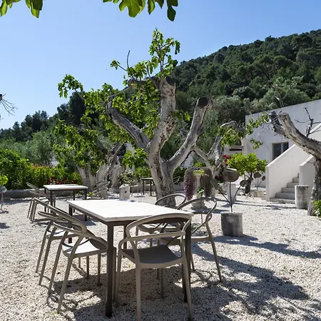 Hmo Glamping & In Vignanotica Mattinata