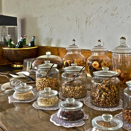 Hmo Glamping & In Vignanotica