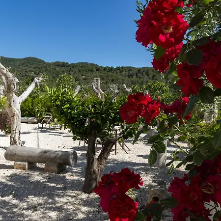 Resort Hmo Glamping & In Vignanotica *