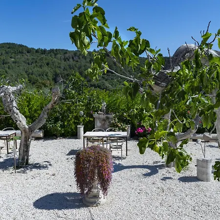 Hmo Glamping & In Vignanotica Resort *
