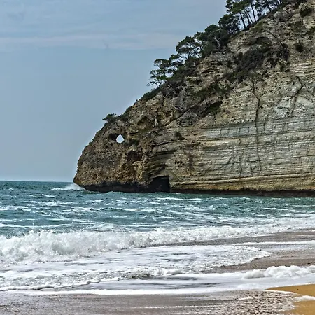 Hmo Glamping & In Vignanotica Mattinata