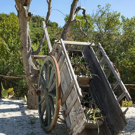 Hmo Glamping & In Vignanotica * Mattinata