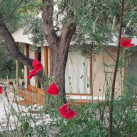 Hmo Glamping & In Vignanotica Resort 4*
