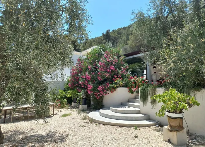 Hmo Glamping & In Vignanotica