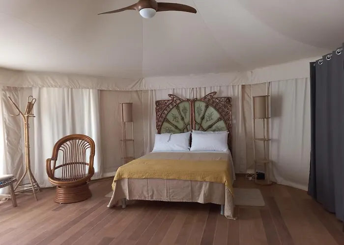 Hmo Glamping & In Vignanotica